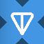 Ton Strategy tokenized stock (xStock)